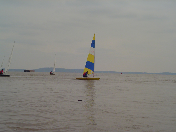 DSC00339